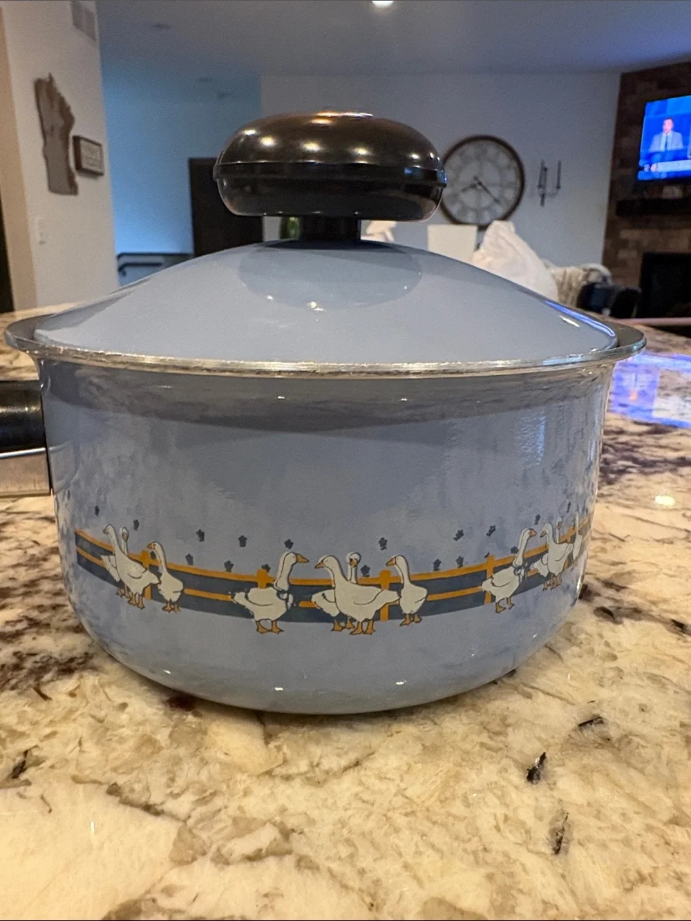 Vintage 1980s Meyer Cookware Blue Ribbon Country Goose Pot Set Great Condition